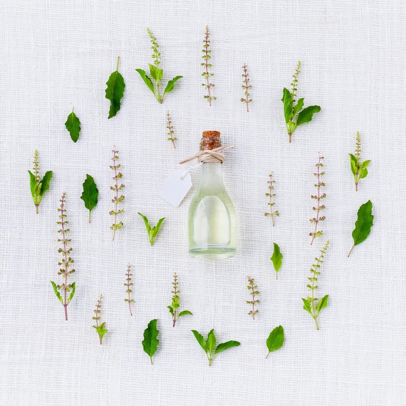 Aromatic Herbs