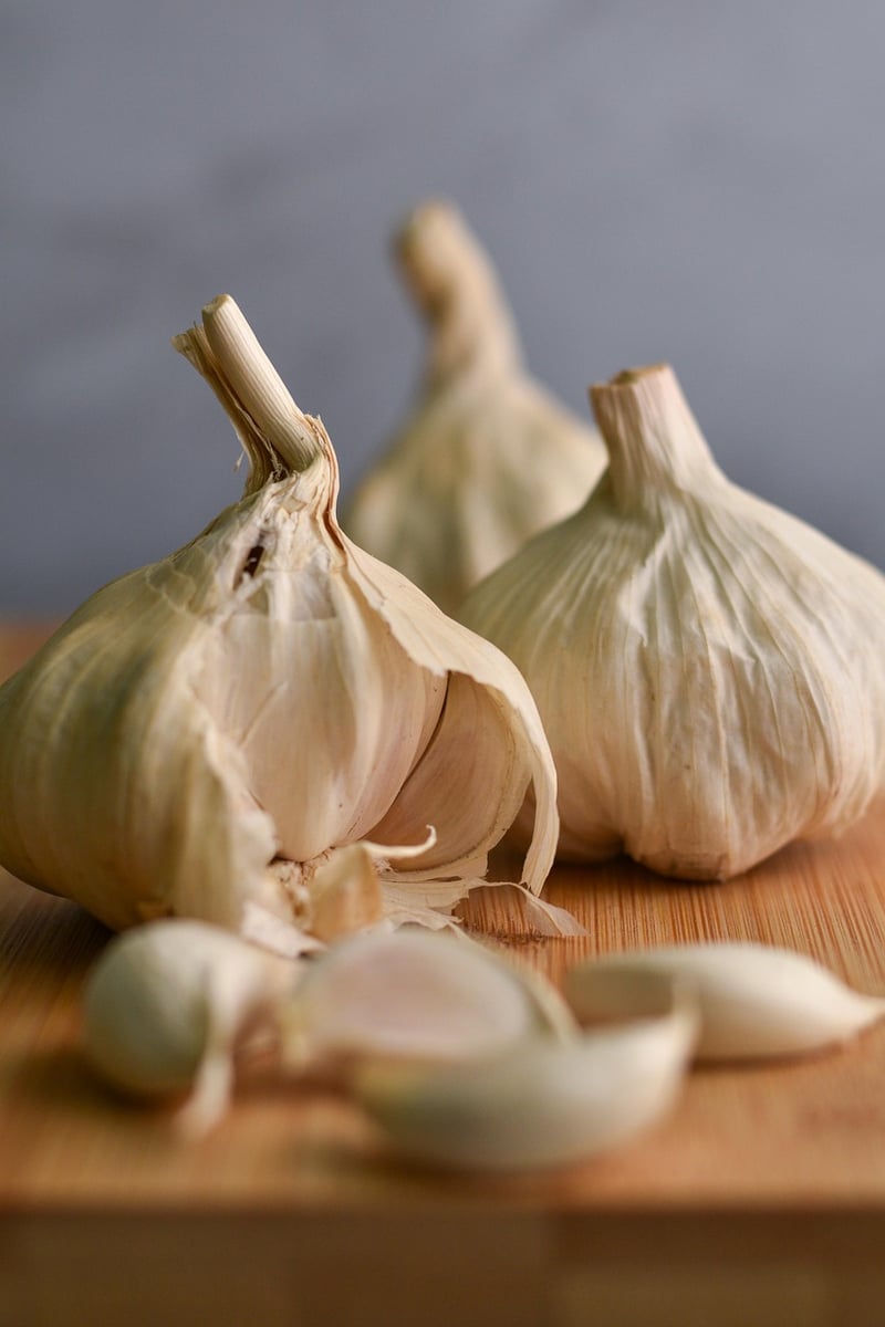 Aromatic Herbs